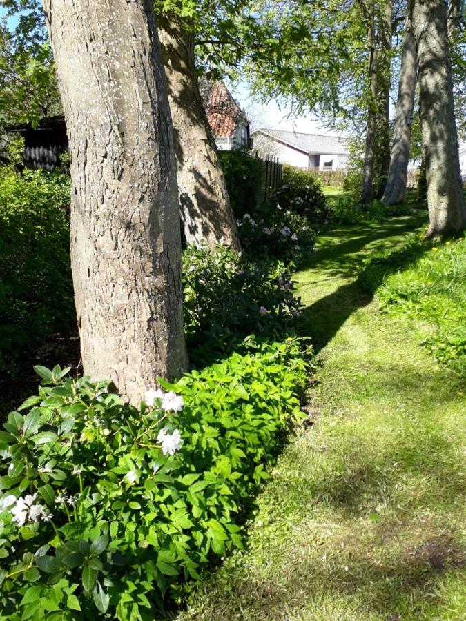Baekgaarden B&B Lyndelse Εξωτερικό φωτογραφία